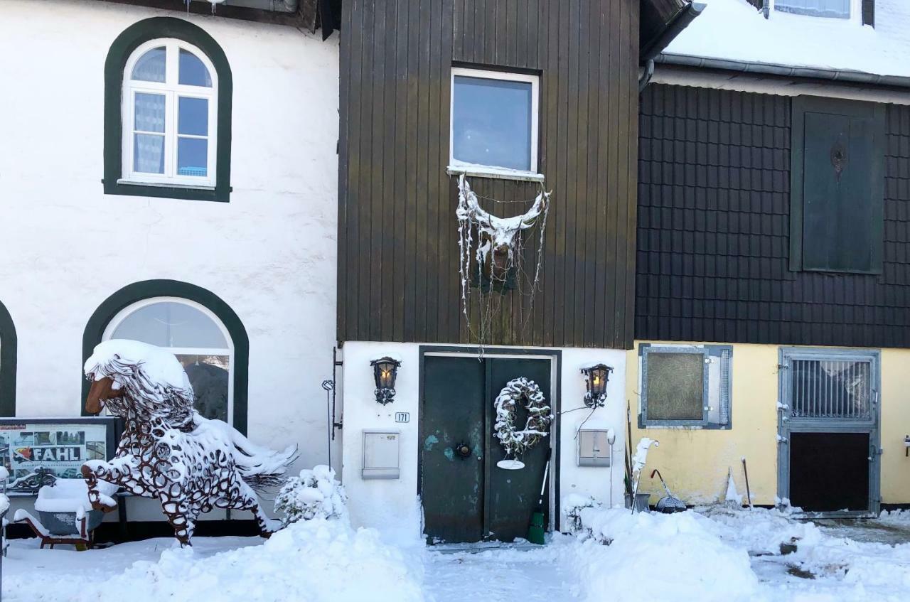 Studio - grosses Wohn-Schlafzimmer - Dachterrasse - Kamin - Küche - Hohes Venn - Monschau - Eifel - Hunde willkommen beim Hof Vierzehnender Exterior foto